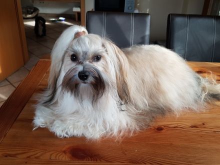 Coffee vom Sternenlicht