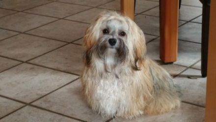 Coffee vom Sternenlicht