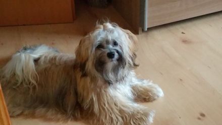 Coffee vom Sternenlicht