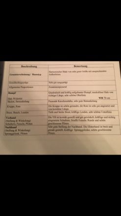 Urs Bär vom Seebachtal