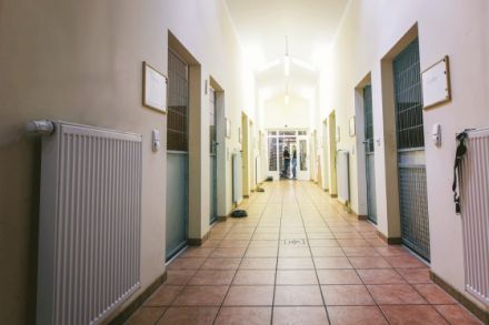 Hundewaldhotel Karwe