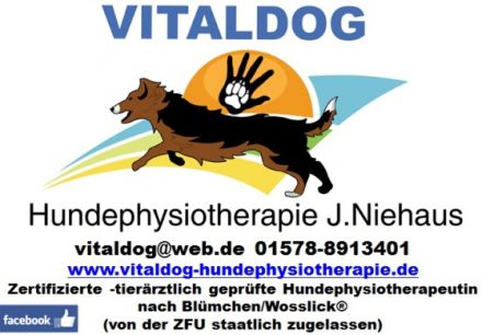 Vitaldog Hundephysiotherapie Niehaus Düren Niederzier
