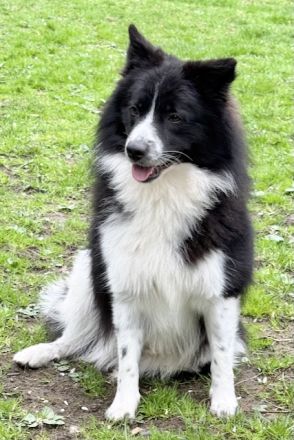 of the hop-o'-my-thumb