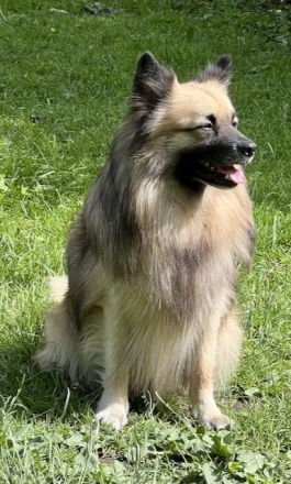 of the hop-o'-my-thumb