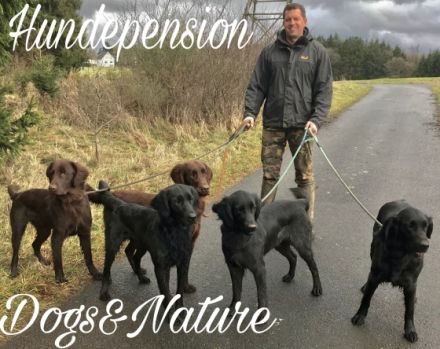 Dealer vom Altenberg ,,Muffin"