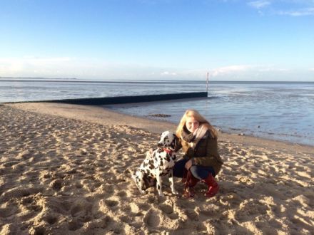 CareBalance Tierphysiotherapie & Tierkommunikation