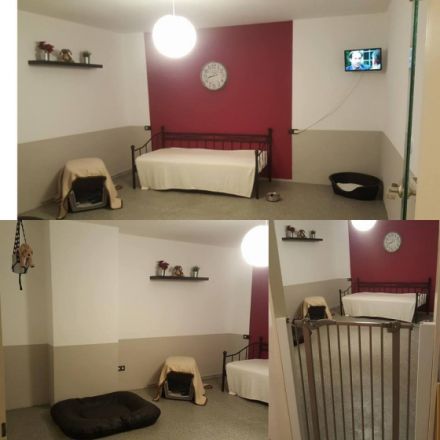 the doghouse - Ihr professioneller Hundeservice