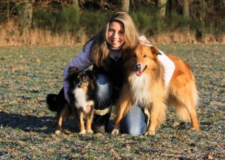 the doghouse - Ihr professioneller Hundeservice