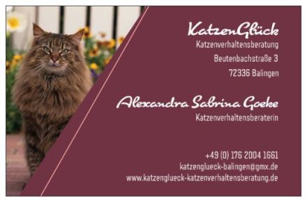 KatzenGlück - Die Katzenschule für Menschen!