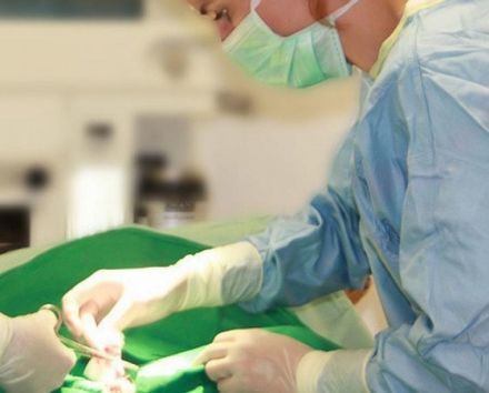 Tierarztpraxis Alt-Bemerode