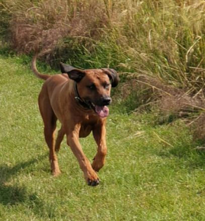 Bruno von der alten Aue