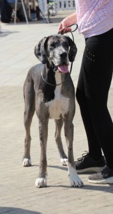 zur Siemauer Sonnenuhr