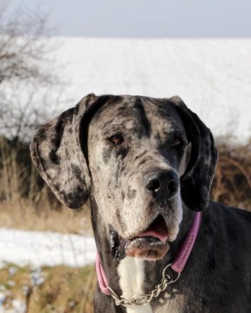 zur Siemauer Sonnenuhr