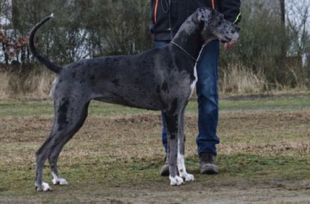 zur Siemauer Sonnenuhr