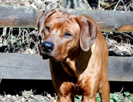 Enyo Morani of Sun Place Ranch