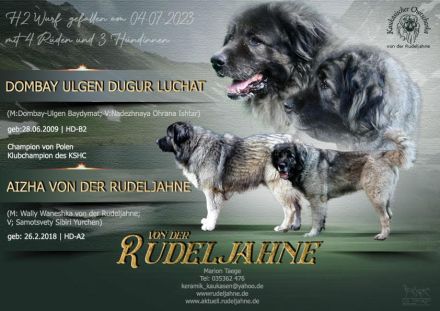 Frohe Nachricht vom Rudeljahnehof. Wir haben Welpen.