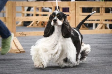 JUMP'N SMILE FIRST ONLY ONE