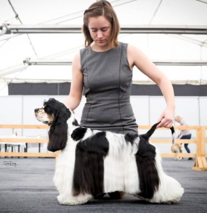 JUMP'N SMILE FIRST ONLY ONE