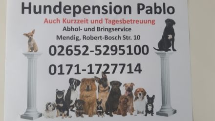 Hundepension Pablo