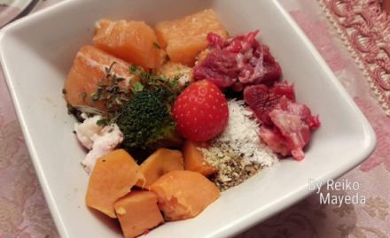 Barf4friends Ernährungsberatung für Hund & Katze