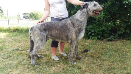 Precious Power Cathal