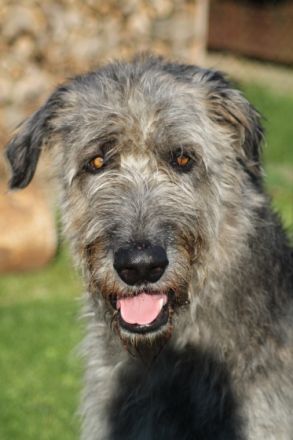 Precious Power Cathal