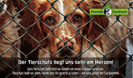 Hundezentrum Coburg