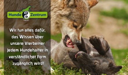 Hundezentrum Coburg