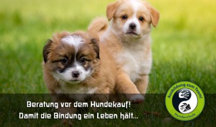 Hundezentrum Coburg