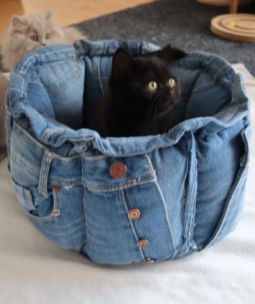 from the Canadian House