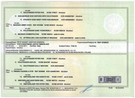 Fox's Nightmare JASTIN TIMBERLAKE