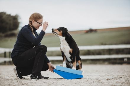 Rebecca Lutz - Vetphysio +