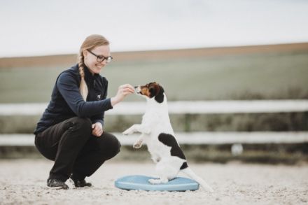 Rebecca Lutz - Vetphysio +