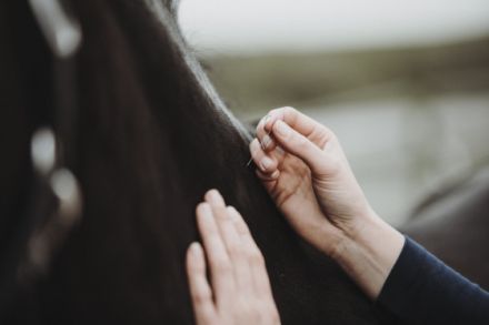 Rebecca Lutz - Vetphysio +