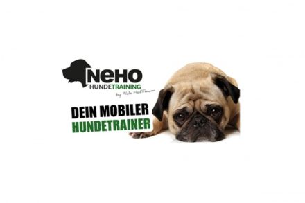 NeHo Hundetraining
