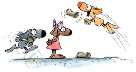 Dogcirlce-Hundeschule To-Go!