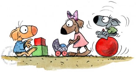 Dogcirlce-Hundeschule To-Go!