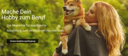 Ausbildung zum Hundetrainer