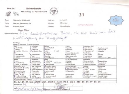 Hoss vom Altdeutschen Eck