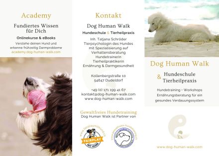 Hundeschule / Hundepsychologie & Tierheilpraxis Dog.Human.Walk