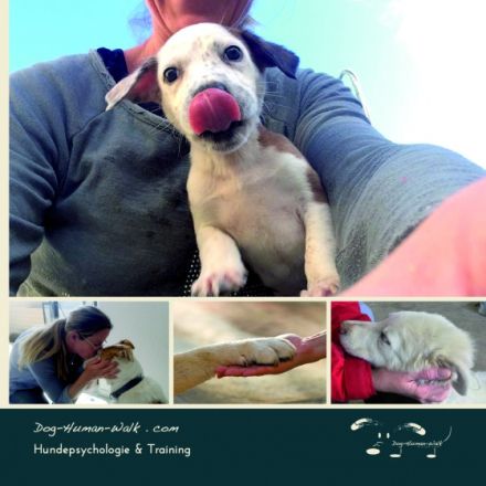 Hundepsychologie Dog.Human.Walk