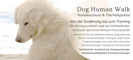 Hundeschule / Hundepsychologie & Tierheilpraxis Dog.Human.Walk