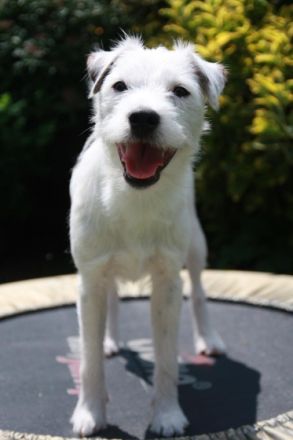 Greek-Summer Quinllan