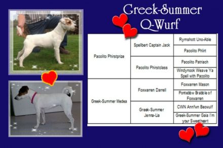 Greek-Summer Quinllan