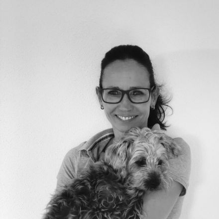 Gesundepfote - Physiotherapie für Hunde