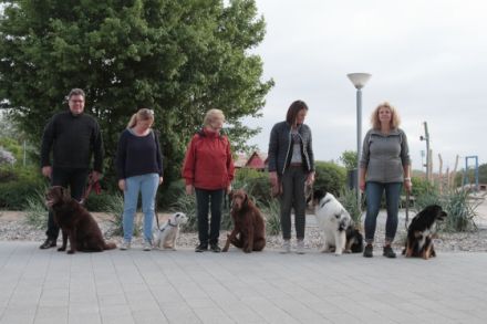 Hundeschule-Neustadt-Ostsee