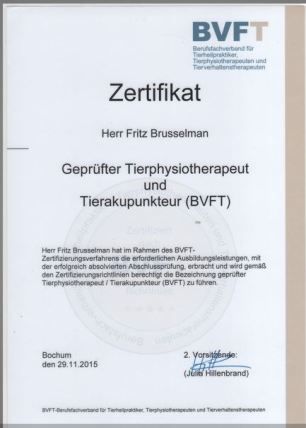 Tierphysiotherapie Brusselman