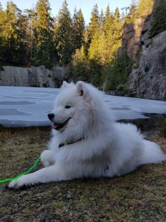 Areon You are on Fleek