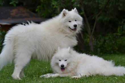 Areon You are on Fleek