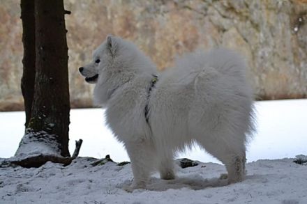 Areon You are on Fleek